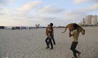 再见小伙伴 再见小伙伴